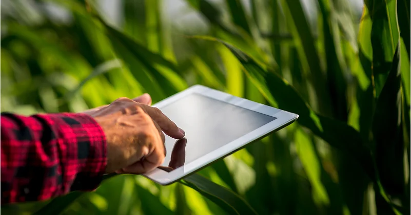 Transparent documentation and governance processes in global agricultural trade