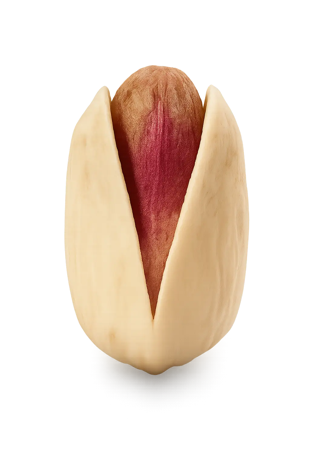 Ahmad Aghaei long pistachio variety from Iran for wholesale trade