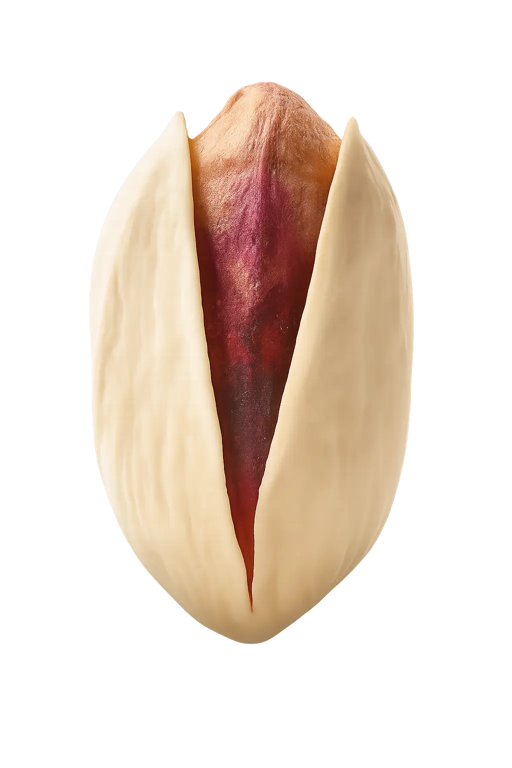 Akbari super-long pistachio variety from Iran for wholesale trade