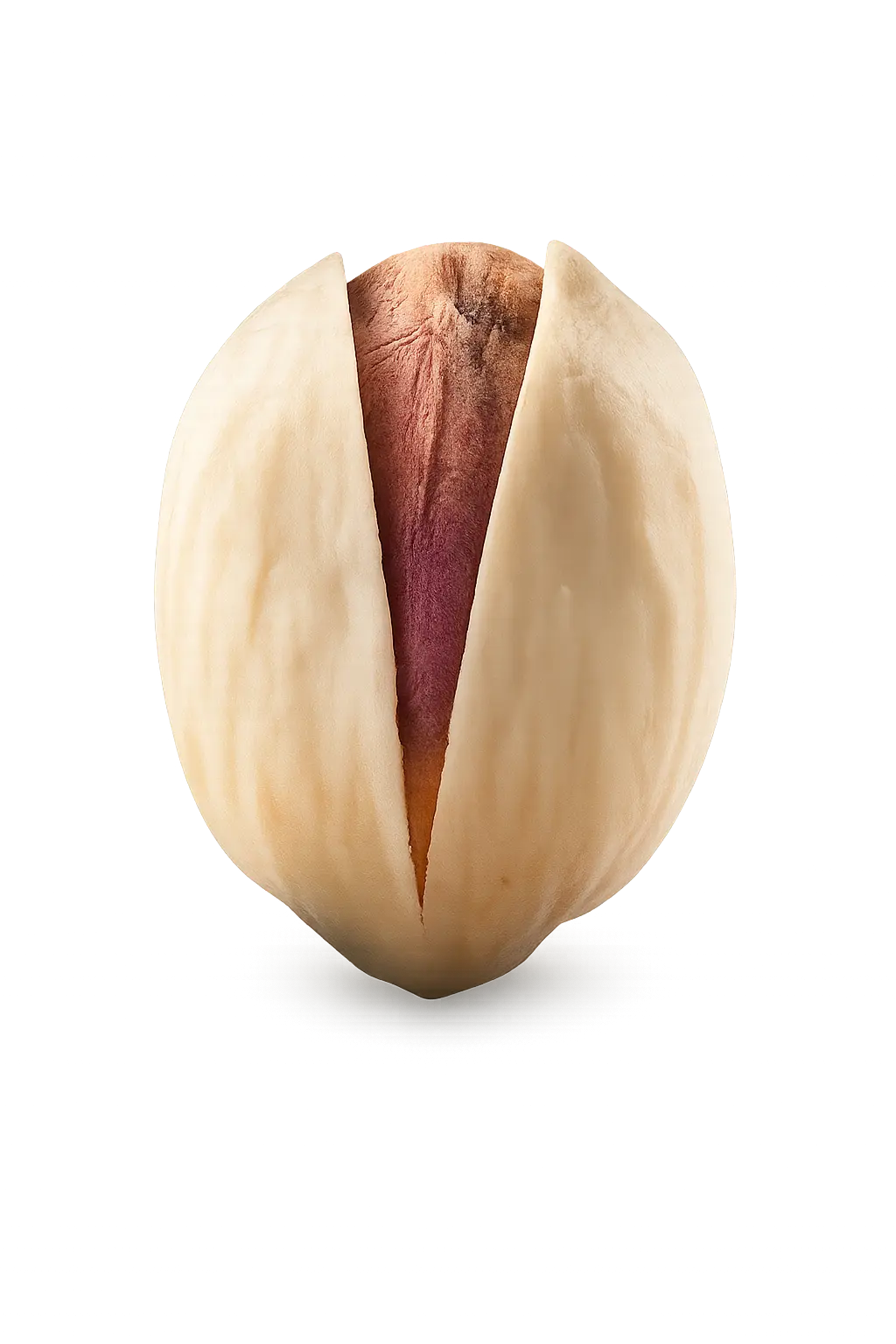 Round Fandoghi pistachio variety from Iran for wholesale trade