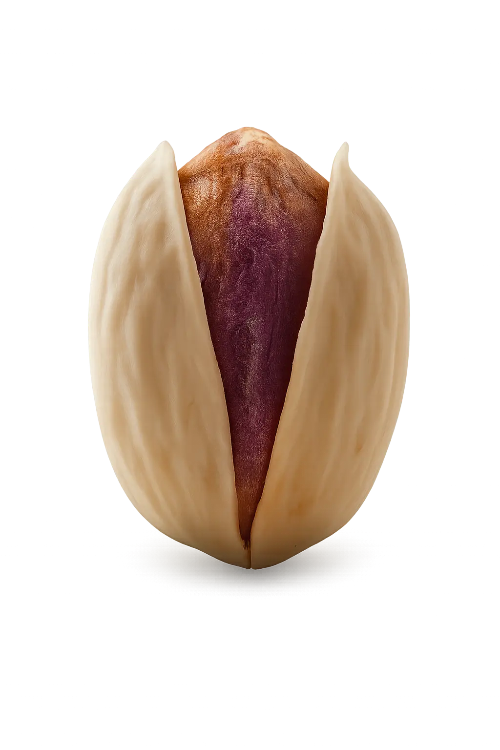 Kalleh Ghouchi jumbo pistachio variety from Iran for wholesale trade