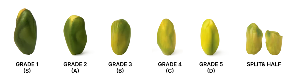 Peeled green pistachio kernel grades from S to D including split and half