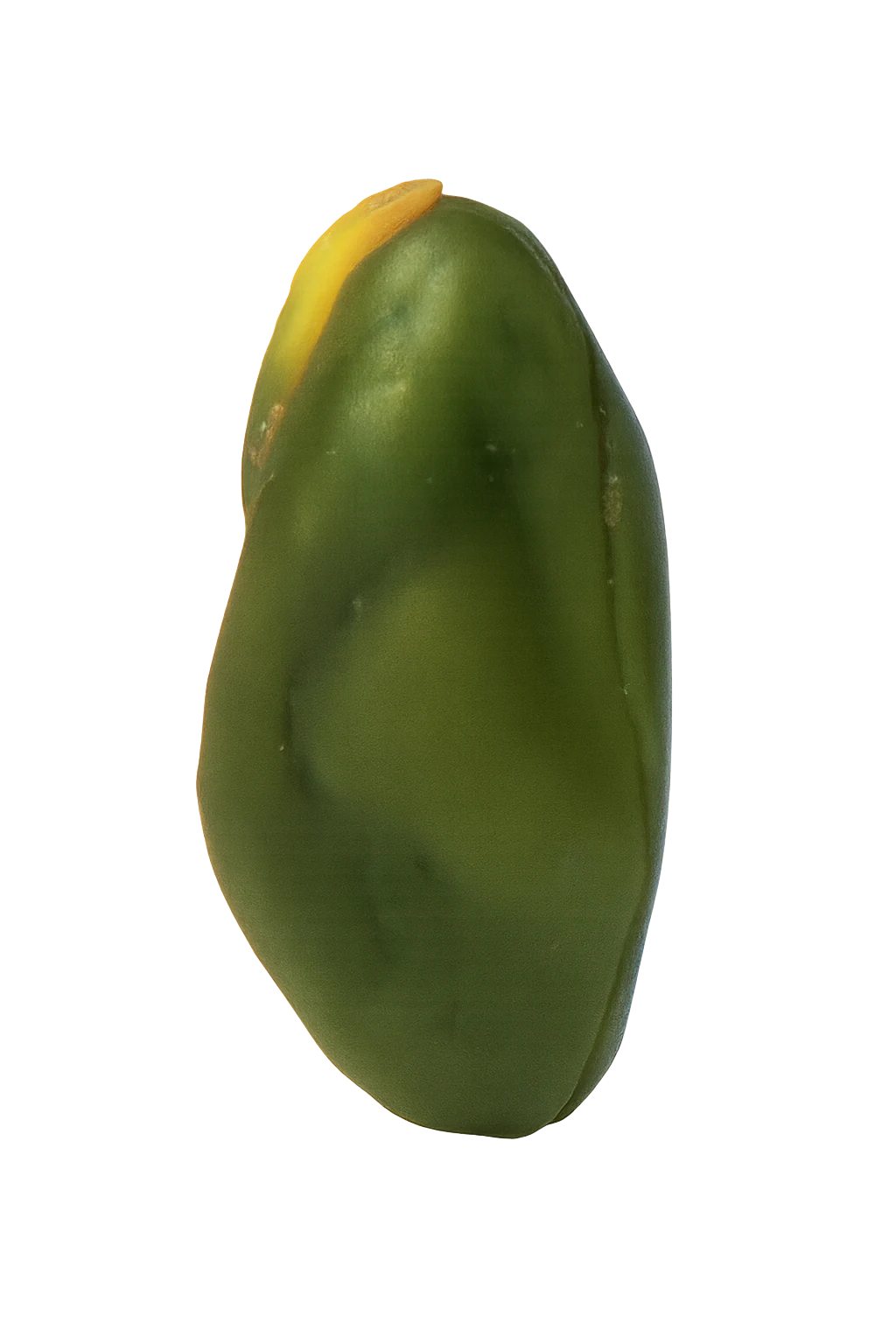 Peeled green Iranian pistachio kernels for wholesale supply