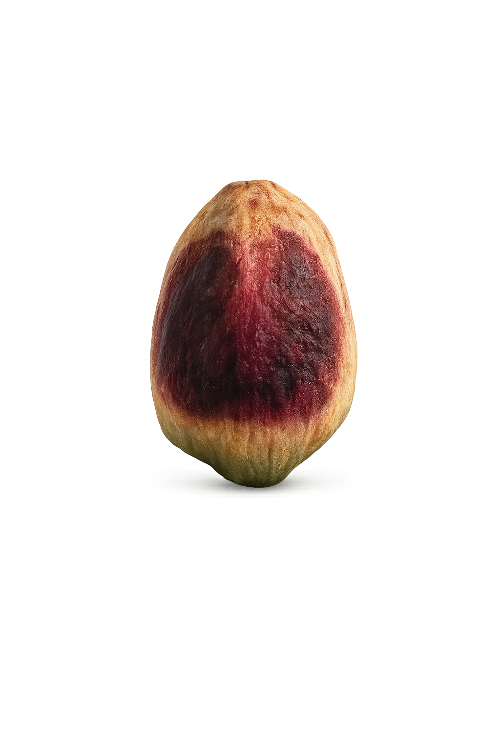 Purple skin Iranian pistachio kernel for wholesale and processing