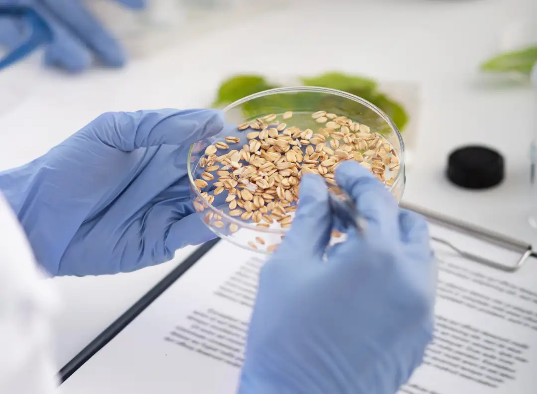 Food safety controls and quality handling in agricultural commodity supply chains