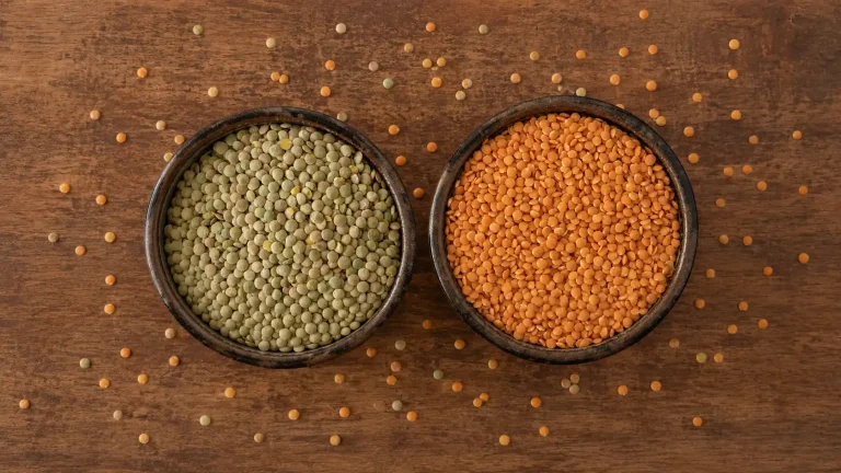 Green lentils and split red lentils side by side for B2B comparison.