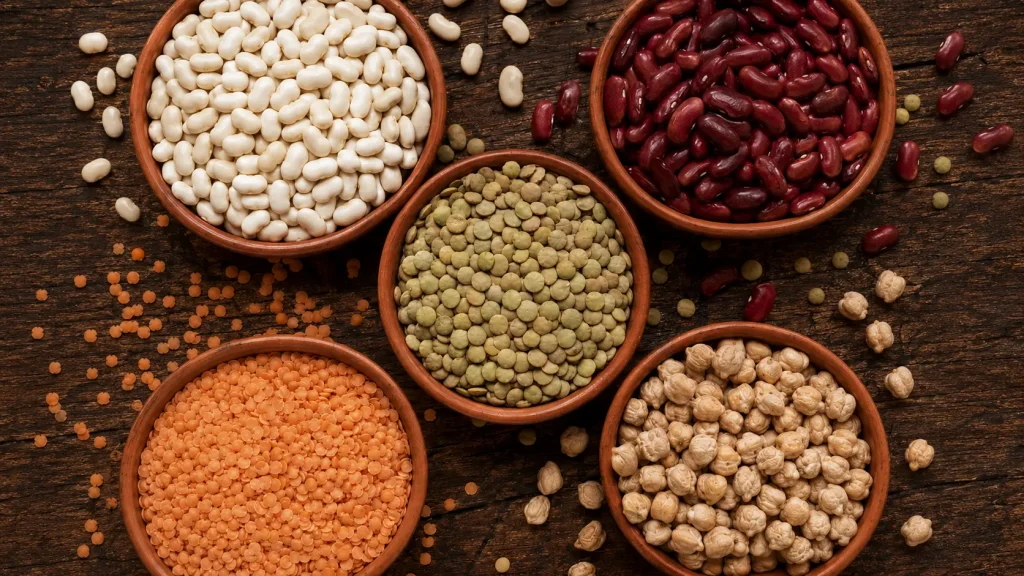 Bulk pulses and legumes — lentils, chickpeas and beans in export-ready sacks