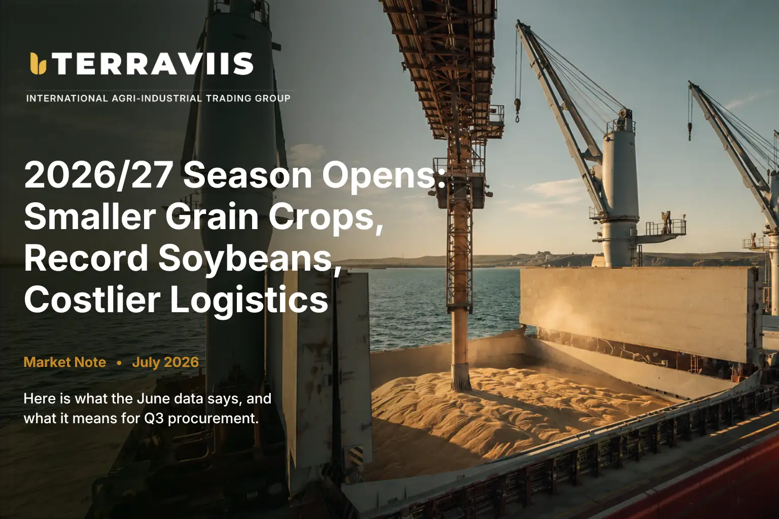 Bulk grain vessel at port with cranes, used as the hero image for Terraviis Group’s 2026/27 grain and oilseed market outlook.