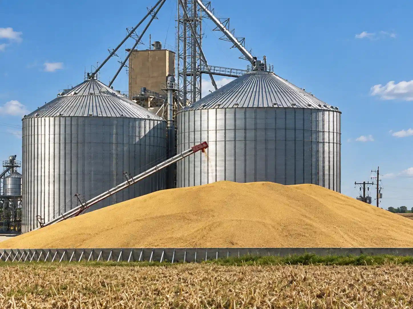 Bulk feed barley loading into cargo vessel for international shipment