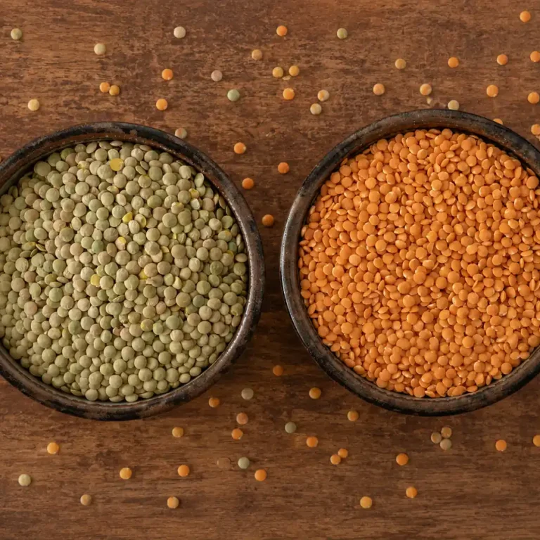 Green lentils and split red lentils side by side for B2B comparison.