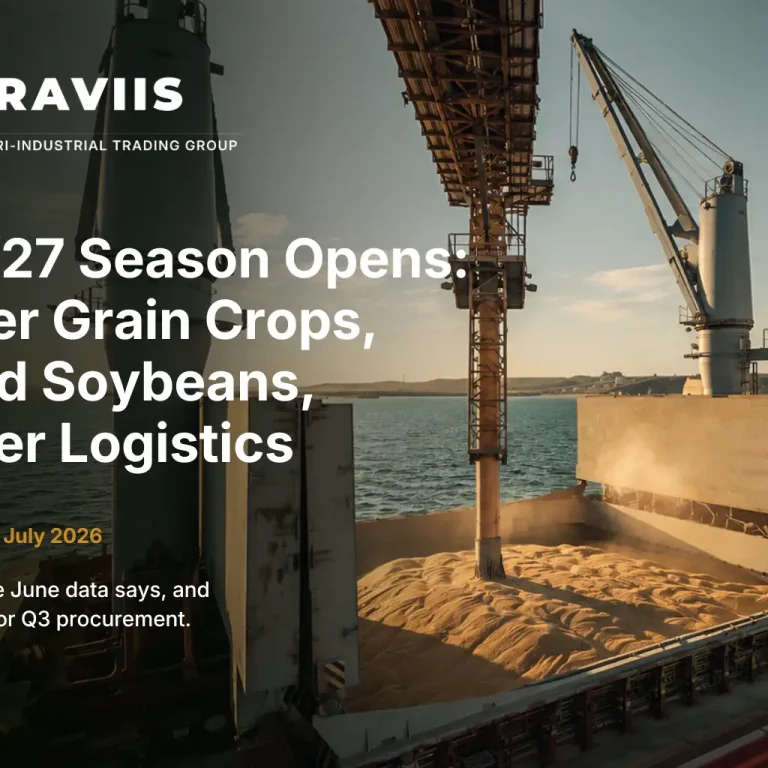 Bulk grain vessel at port with cranes, used as the hero image for Terraviis Group’s 2026/27 grain and oilseed market outlook.